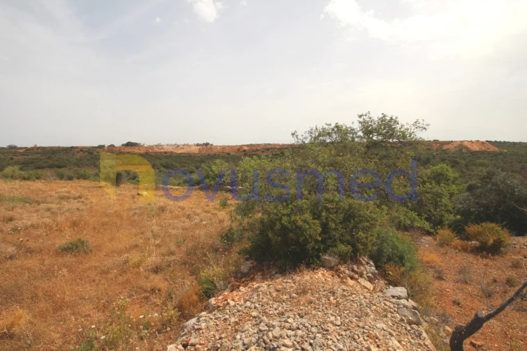 Quinta para Venda em Ferreiras Foto 14