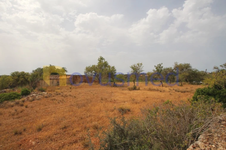 Quinta para Venda em Ferreiras Foto 17