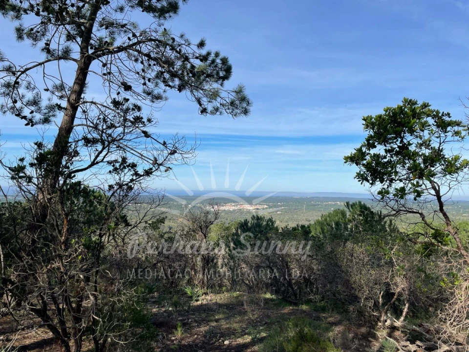 Terreno Agricola ou Rústico para Venda em Melides Foto 12