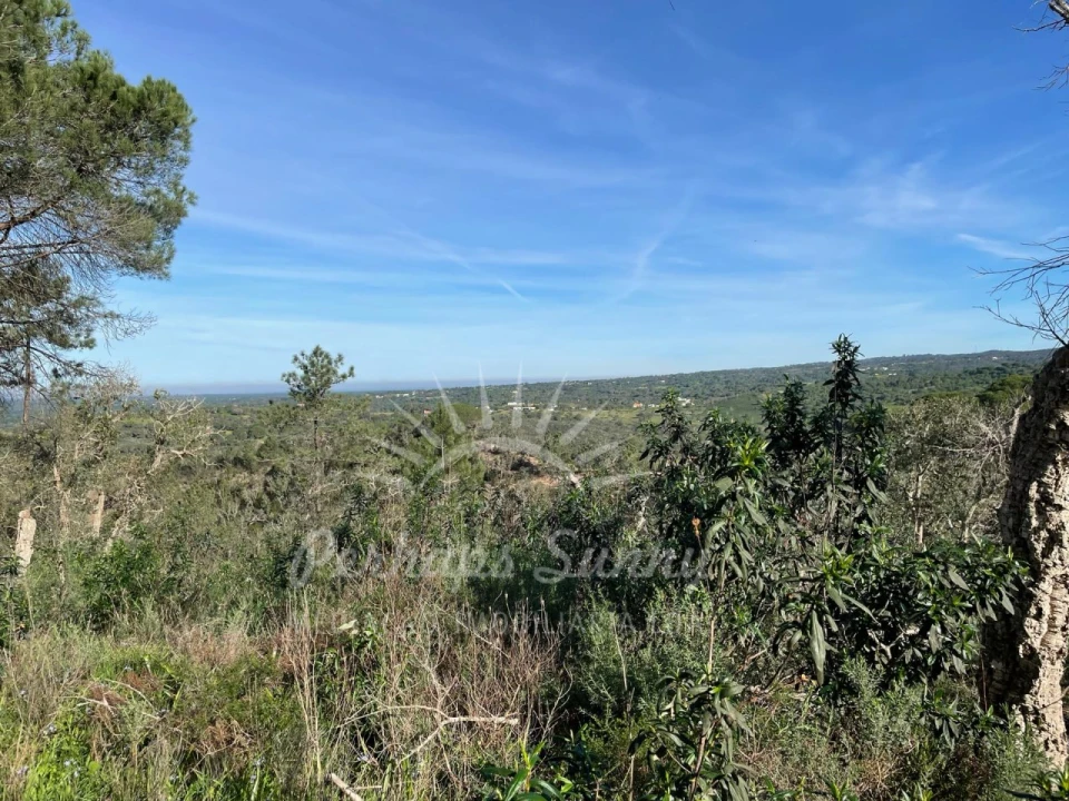 Terreno Agricola ou Rústico para Venda em Melides Foto 15