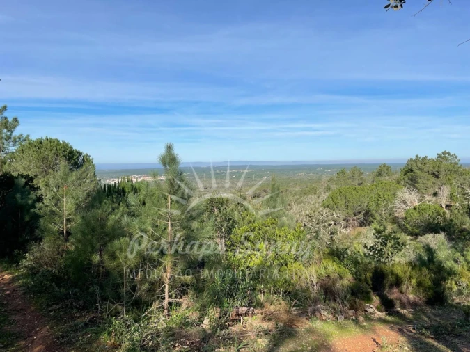 Terreno Agricola ou Rústico para Venda em Melides Foto 2