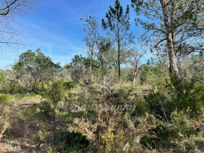 Terreno Agricola ou Rústico para Venda em Melides Foto 10