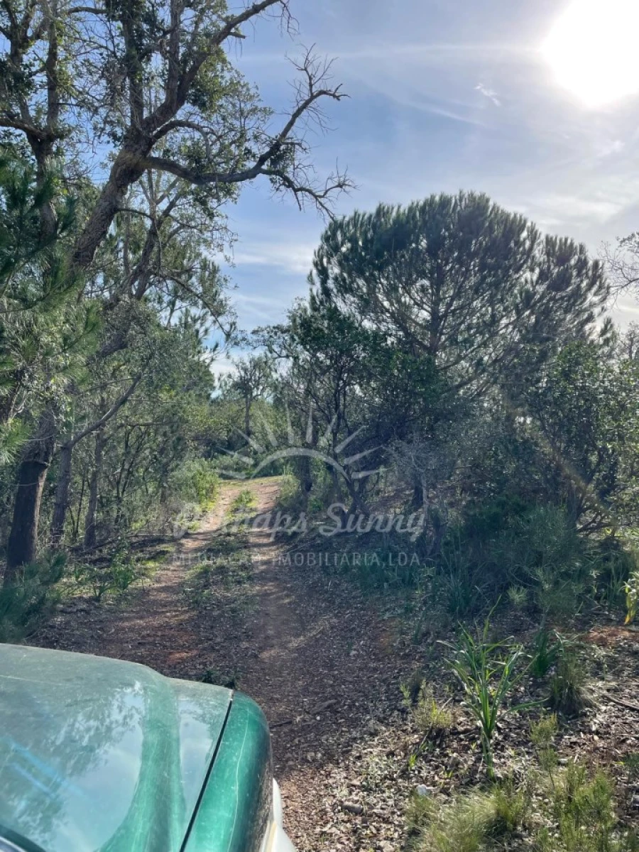 Terreno Agricola ou Rústico para Venda em Melides Foto 14