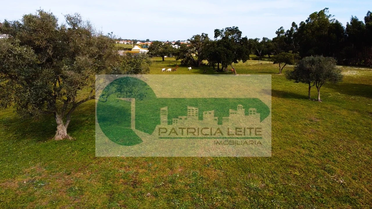 Terreno Misto para Venda em Moita Foto 4