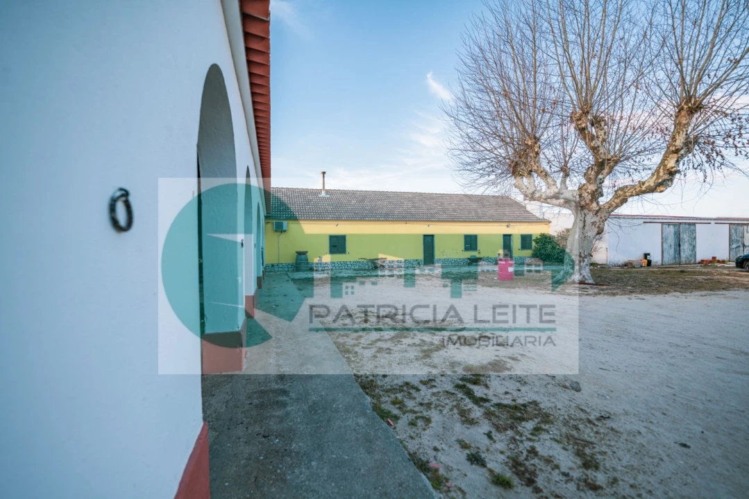 Quinta para Venda em Poceirão e Marateca Foto 6