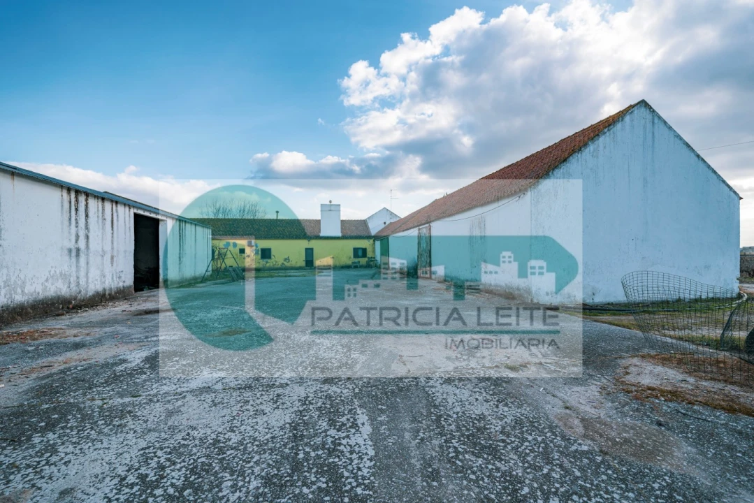 Quinta para Venda em Poceirão e Marateca Foto 11