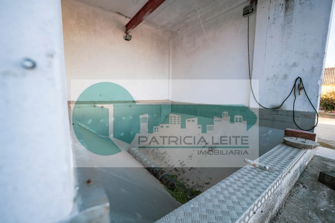 Quinta para Venda em Poceirão e Marateca Foto 12