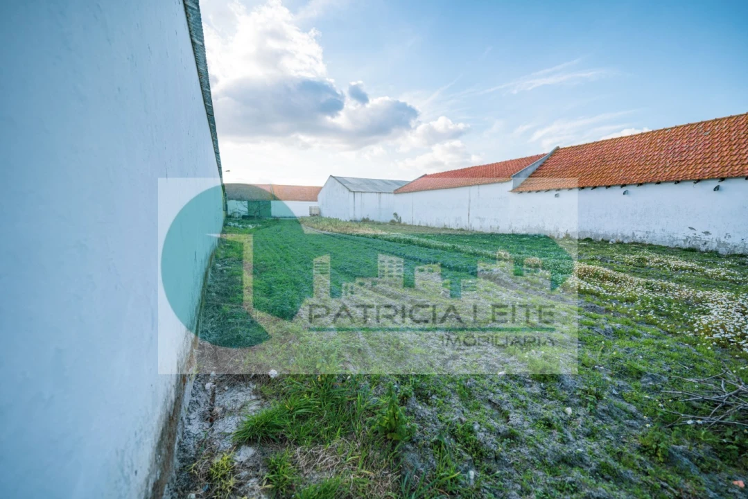 Quinta para Venda em Poceirão e Marateca Foto 17