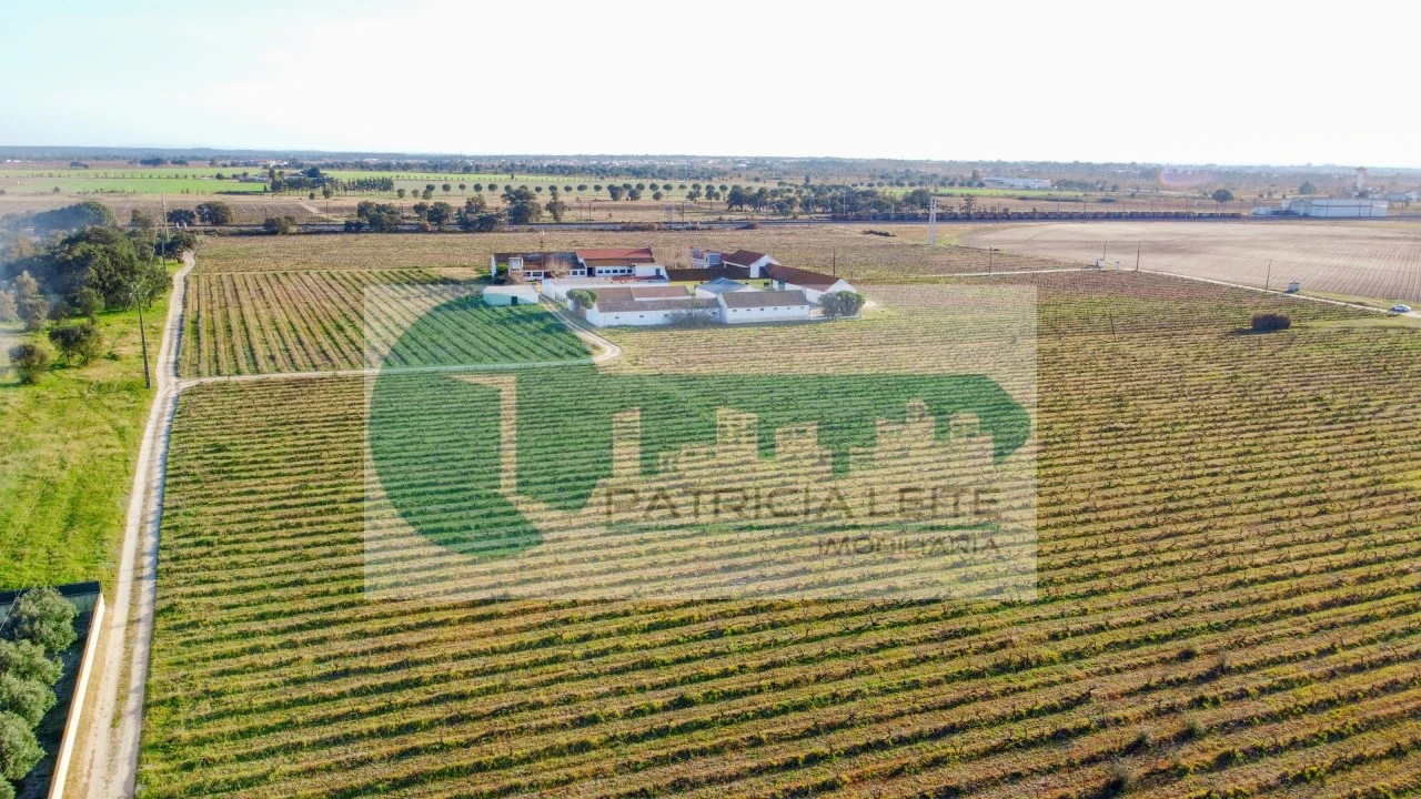Quinta para Venda em Poceirão e Marateca Foto 22