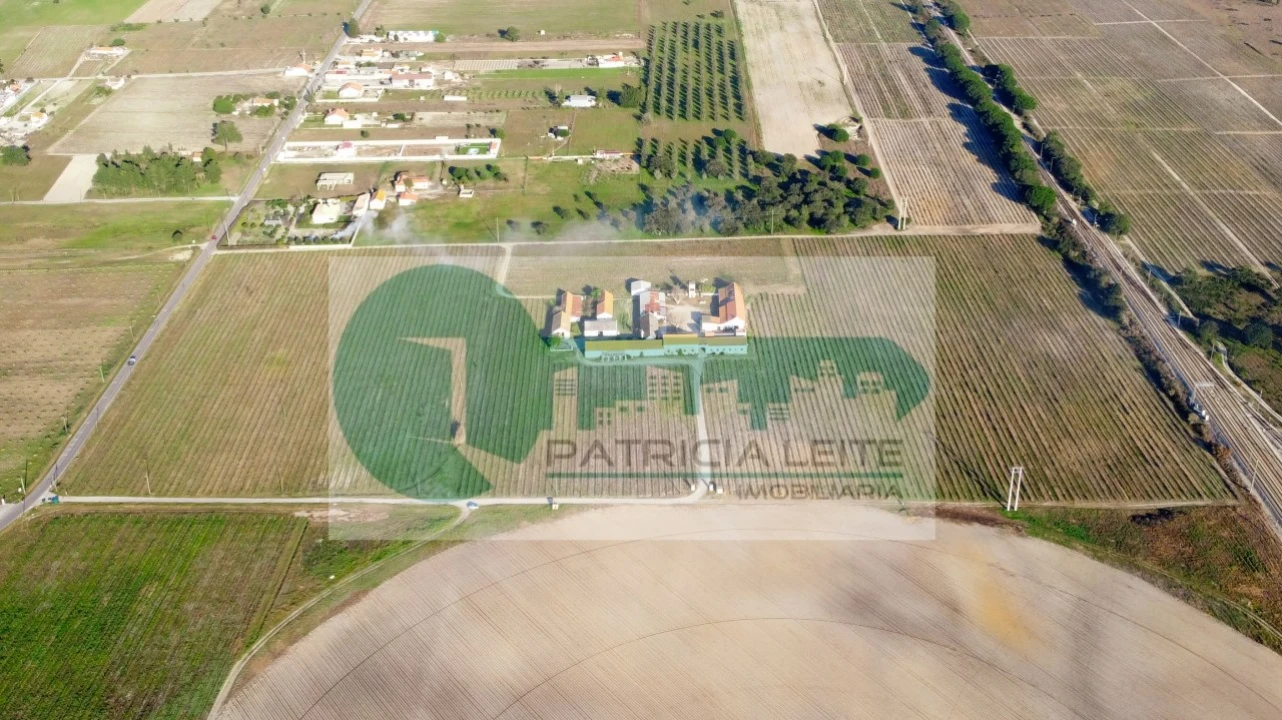 Quinta para Venda em Poceirão e Marateca Foto 23