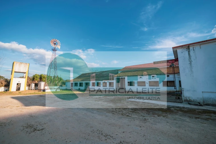 Quinta para Venda em Poceirão e Marateca Foto 9