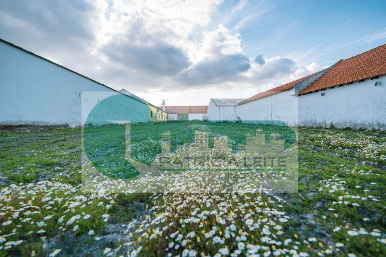 Quinta para Venda em Poceirão e Marateca Foto 18