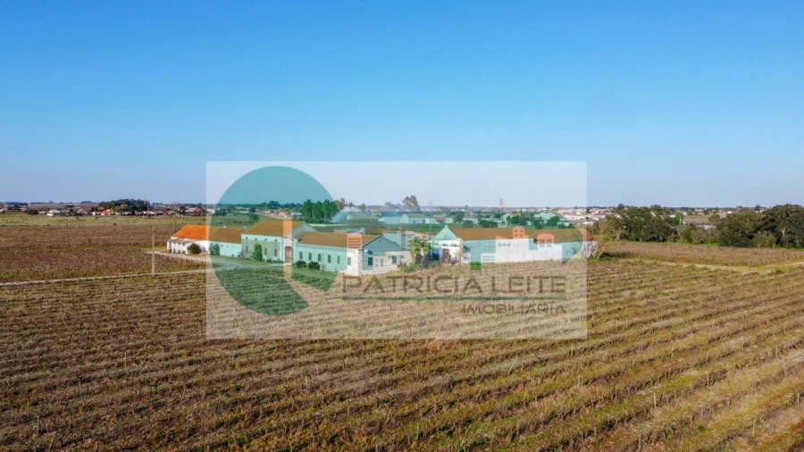 Quinta para Venda em Poceirão e Marateca Foto 25