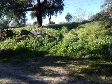 Terreno para Venda em Monsanto e Idanha-A-Velha