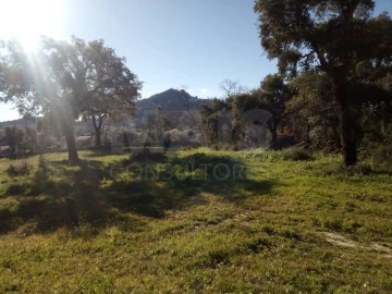 Terreno para Venda em Monsanto e Idanha-A-Velha