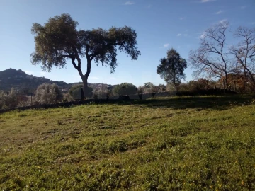 Terreno para Venda em Monsanto e Idanha-A-Velha