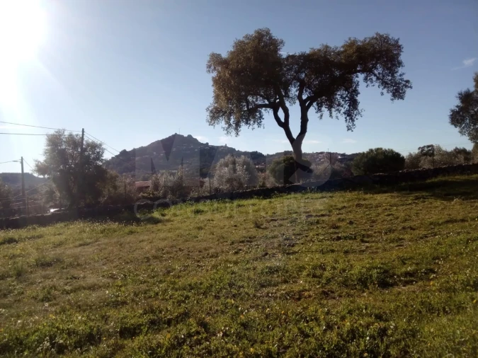 Terreno para Venda em Monsanto e Idanha-A-Velha Foto 8