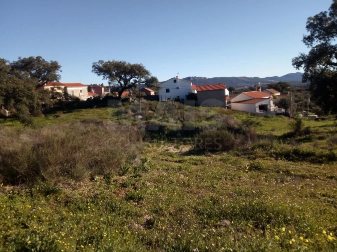 Terreno para Venda em Monsanto e Idanha-A-Velha Foto 1