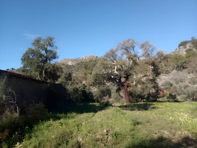 Terreno para Venda em Monsanto e Idanha-A-Velha Foto 3