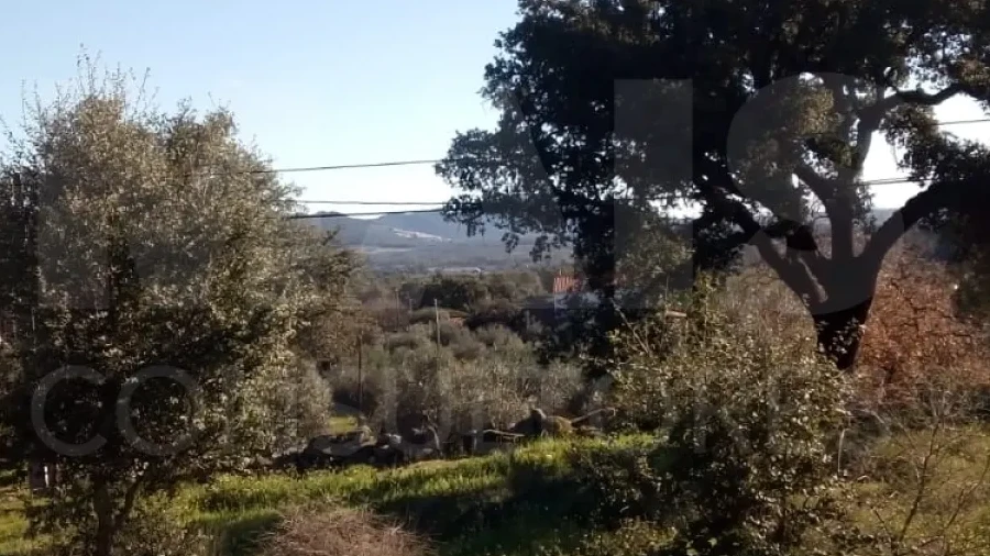 Terreno para Venda em Monsanto e Idanha-A-Velha