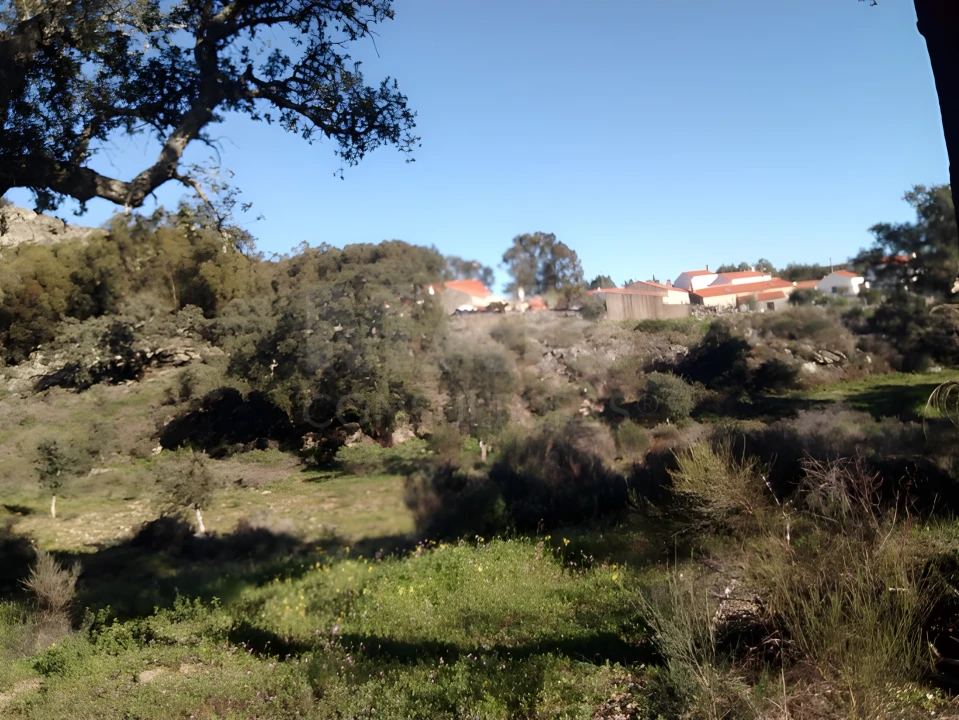 Terreno para Venda em Monsanto e Idanha-A-Velha Foto 2