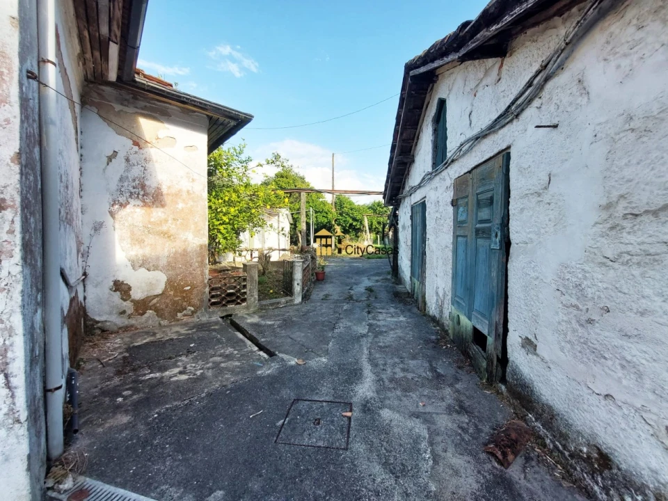 Prédio para Venda em Paredes Foto 15