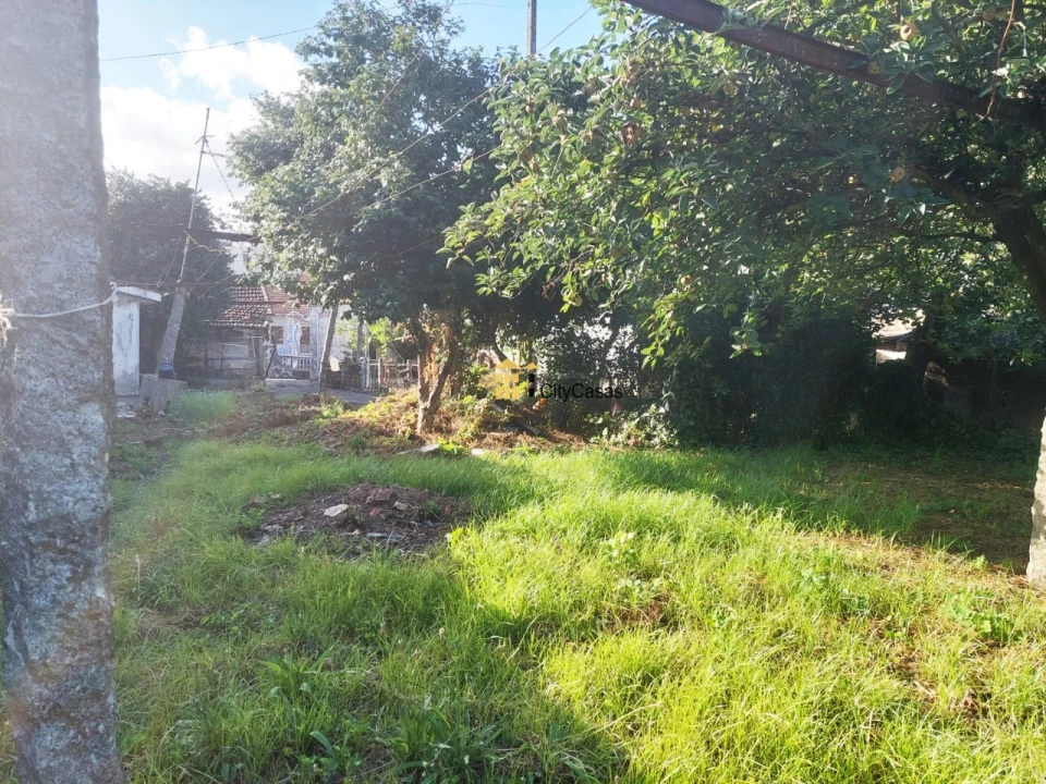 Prédio para Venda em Paredes Foto 21