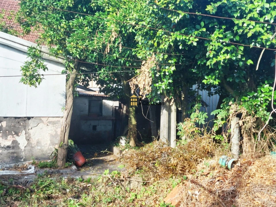 Prédio para Venda em Paredes Foto 26