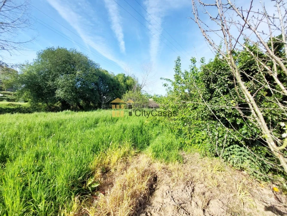 Terreno Agricola ou Rústico para Venda em Ermesinde Foto 3