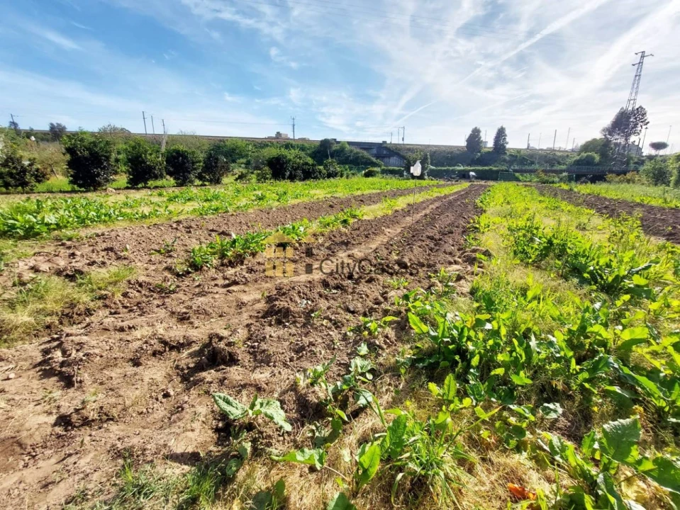 Terreno Agricola ou Rústico para Venda em Ermesinde Foto 7