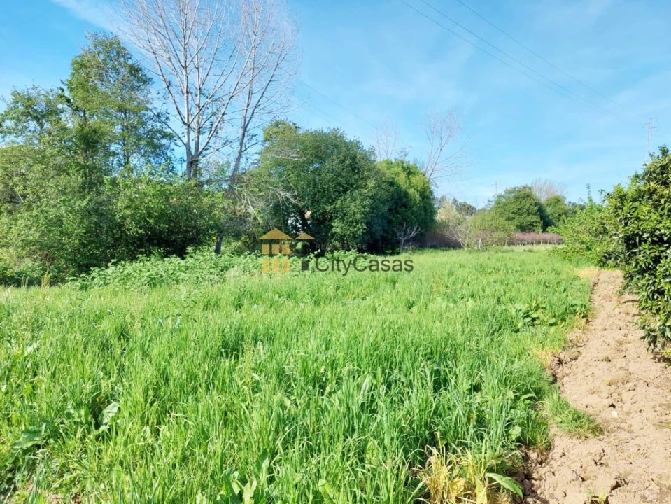 Terreno Agricola ou Rústico para Venda em Ermesinde Foto 14