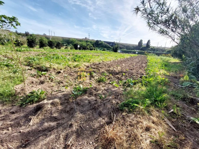 Terreno Agricola ou Rústico para Venda em Ermesinde Foto 8