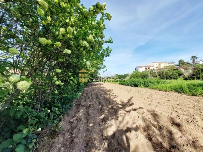 Terreno Agricola ou Rústico para Venda em Ermesinde