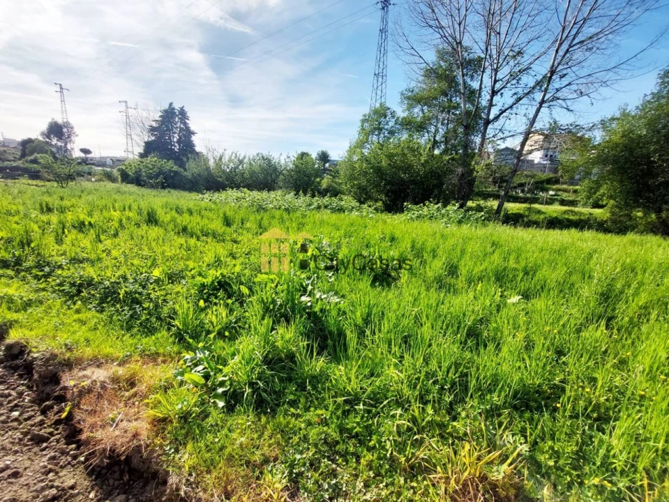 Terreno Agricola ou Rústico para Venda em Ermesinde Foto 3