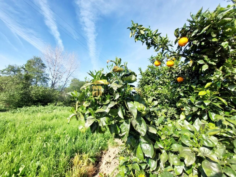 Terreno Agricola ou Rústico para Venda em Ermesinde Foto 5
