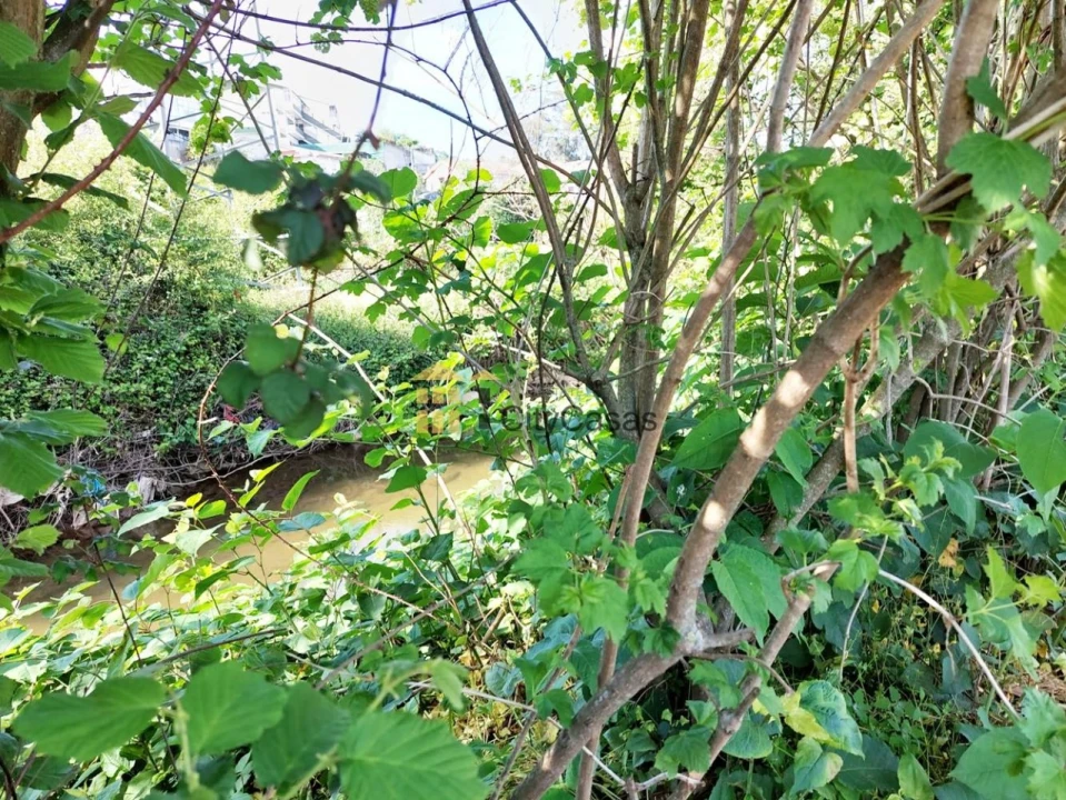 Terreno Agricola ou Rústico para Venda em Ermesinde Foto 11