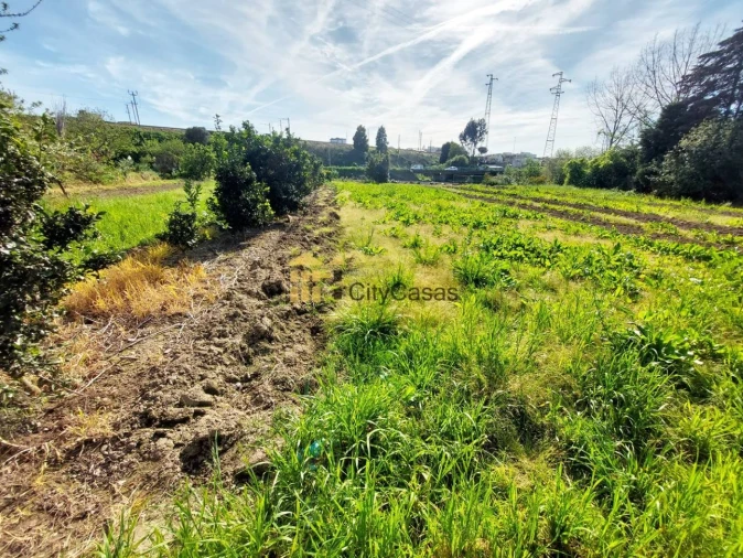 Terreno Agricola ou Rústico para Venda em Ermesinde Foto 12