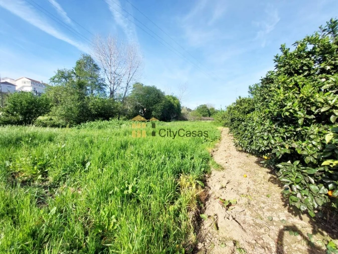 Terreno Agricola ou Rústico para Venda em Ermesinde Foto 13
