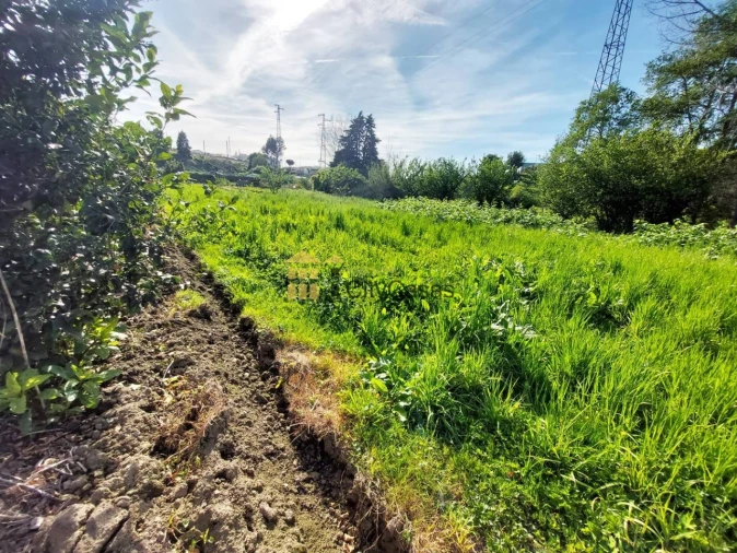 Terreno Agricola ou Rústico para Venda em Ermesinde Foto 15