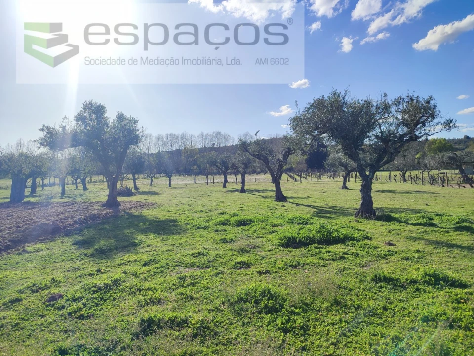 Quinta para Venda em Póvoa de Rio de Moinhos e Cafede Foto 17