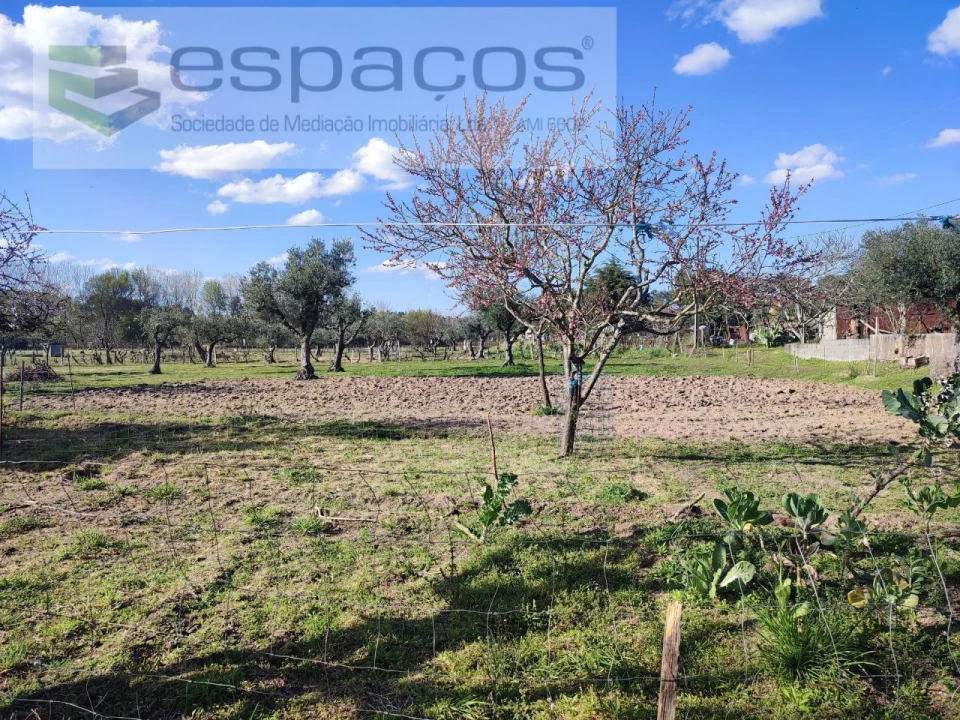Quinta para Venda em Póvoa de Rio de Moinhos e Cafede Foto 18