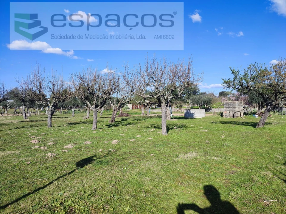 Quinta para Venda em Póvoa de Rio de Moinhos e Cafede Foto 4