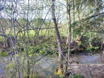 Quinta para Venda em Póvoa de Rio de Moinhos e Cafede