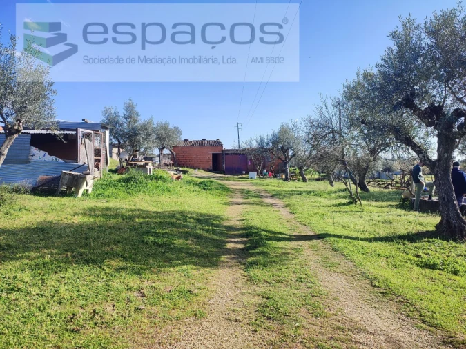 Quinta para Venda em Póvoa de Rio de Moinhos e Cafede Foto 12