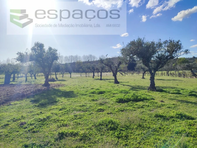 Quinta para Venda em Póvoa de Rio de Moinhos e Cafede Foto 17