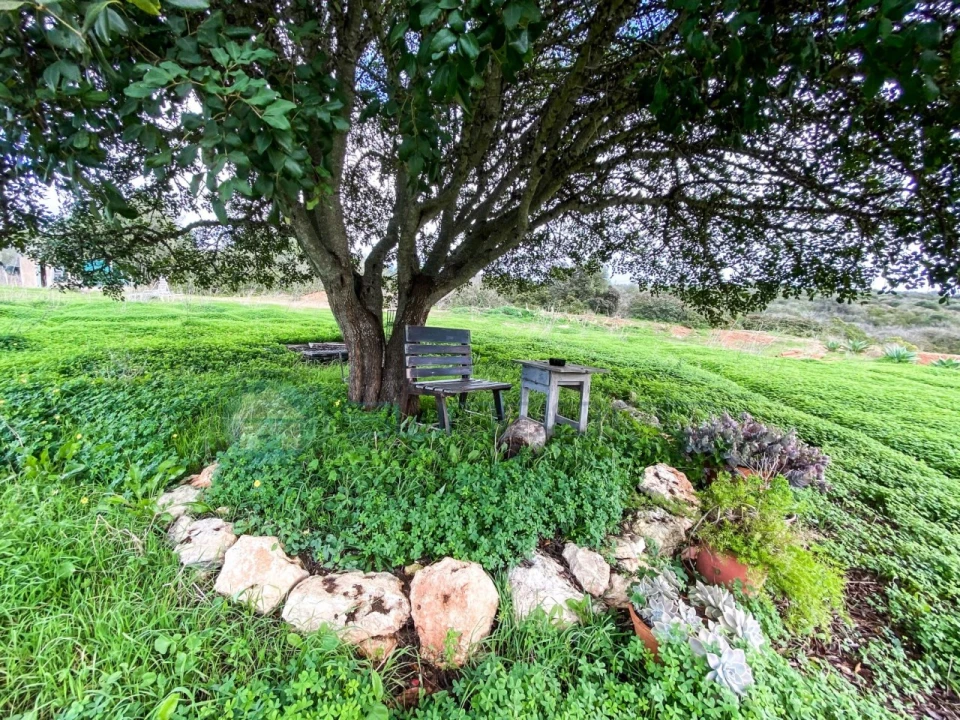 Moradia T3 para Venda em Budens Foto 40