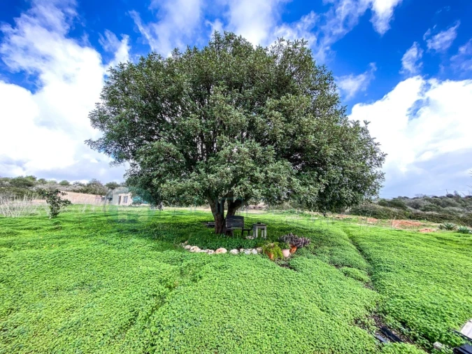 Moradia T3 para Venda em Budens Foto 39