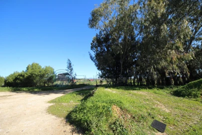 Moradia T6 para Venda em Odiaxere