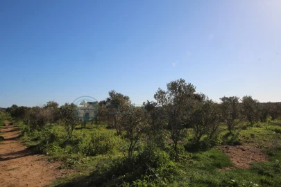 Moradia T6 para Venda em Odiaxere
