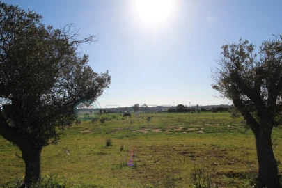 Moradia T6 para Venda em Odiaxere